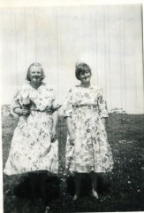 18644