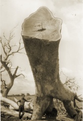2916