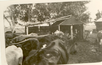 3862