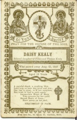 7619