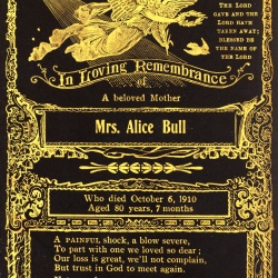 Bull Family Dartmoor