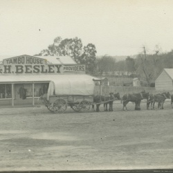 Wilf Henty Photographer