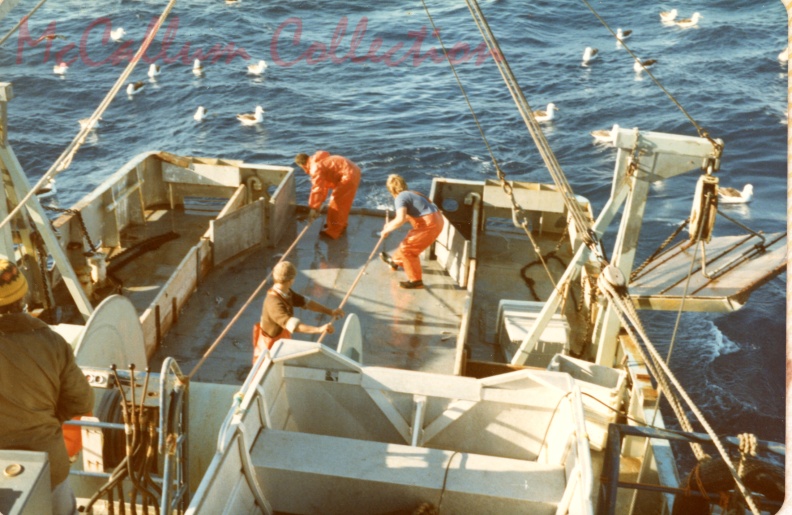 19233.jpg