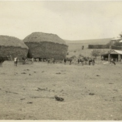 Farming on various farms in western Victoria