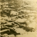 18254