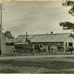 Dorothy Knights photos