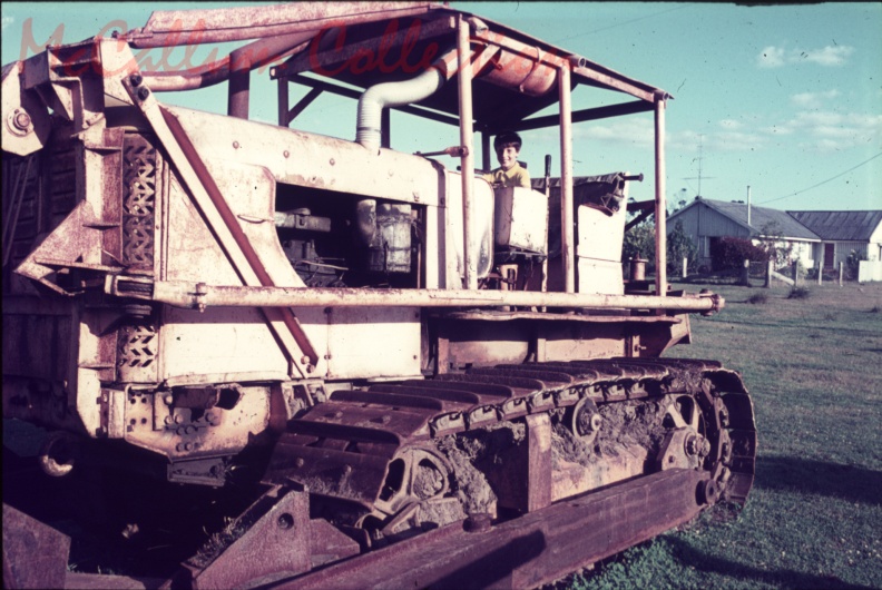 5917.jpg