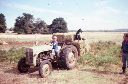 18019