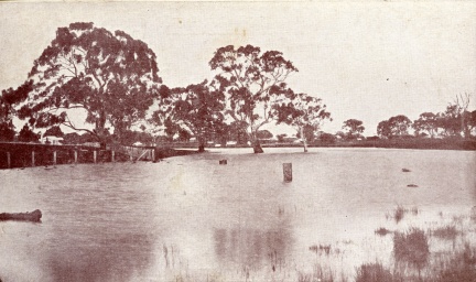 16406