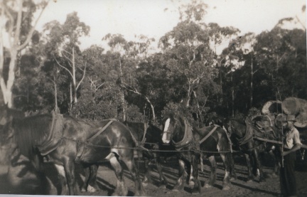 14780