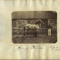 14064