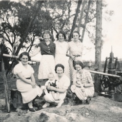 Heathmere Fink Family