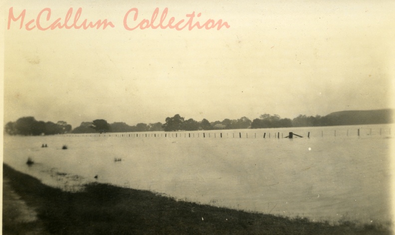 19057.jpg