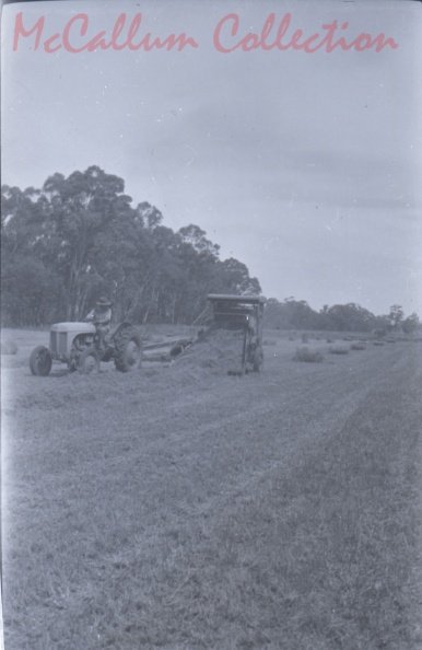 19103.jpg