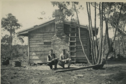 18443