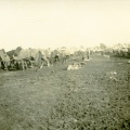 18172