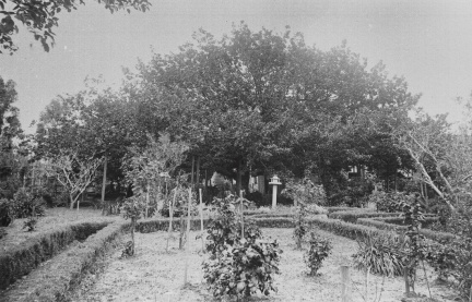 i019