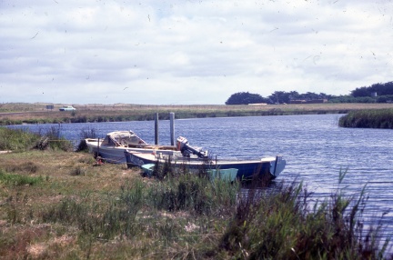 19028