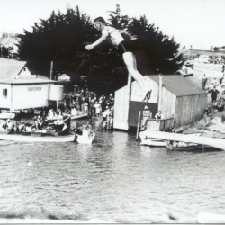 Nelson huts on the river