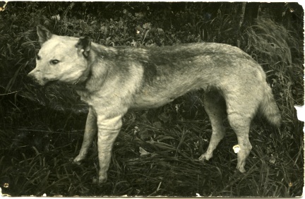 19065