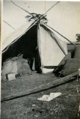 16431