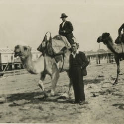 Ray Davis Collection