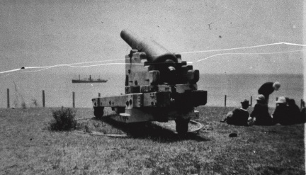 d119
