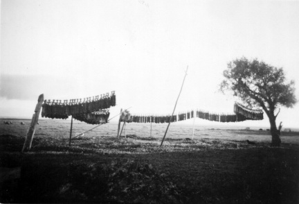 18607
