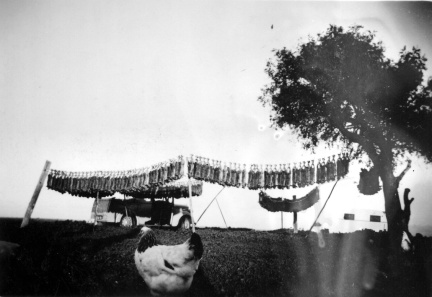 18614