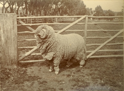9710