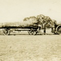 16342