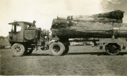 16305