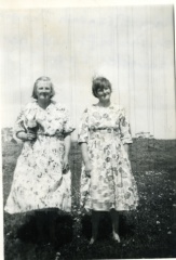 18644